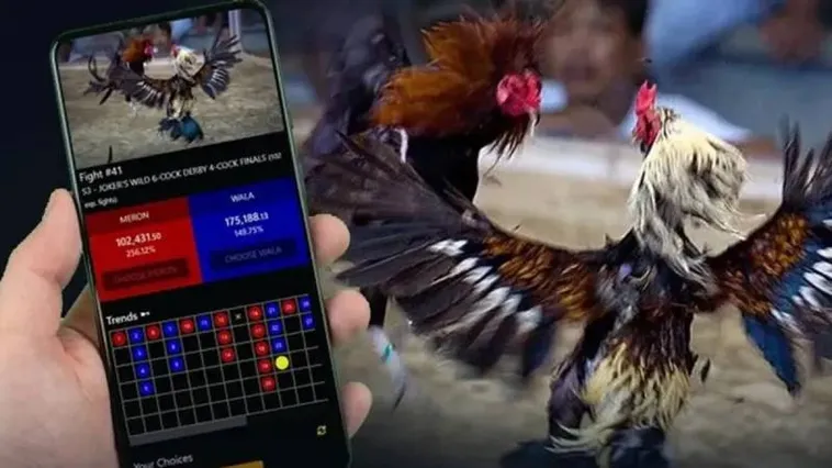 Đá Gà 789WIN Hấp Dẫn Nhất 2025 Kinh Nghiệm Cá Cược Thắng Lớn