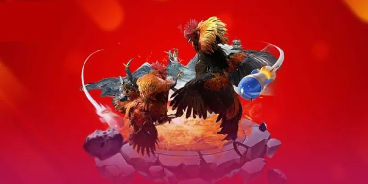 Cách Chơi Đá Gà 3D Tại 789WIN Bí Quyết Thắng Lớn Từ Cao Thủ